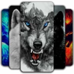 Logo of Wolf Wallpaper android Application 