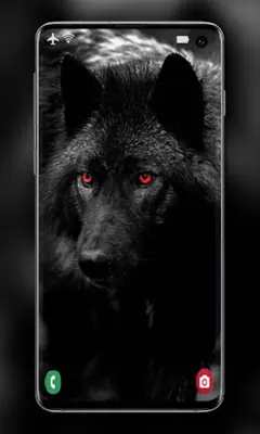 Wolf Wallpaper android App screenshot 0