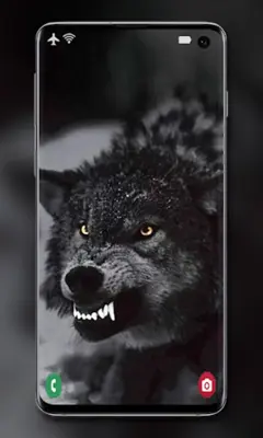 Wolf Wallpaper android App screenshot 2