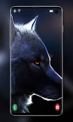 Wolf Wallpaper android App screenshot 5